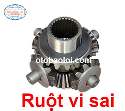 Ruột vi sai