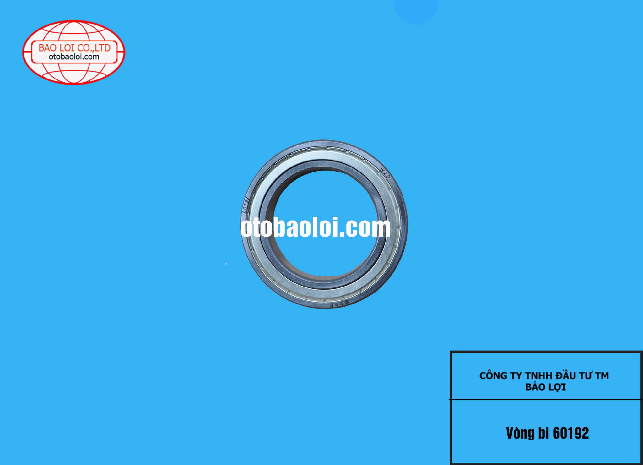 Vòng bi 60192
