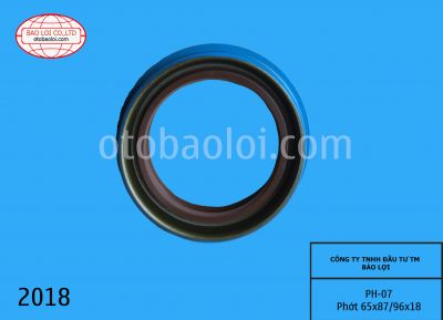 Phớt 65x87/96x18
