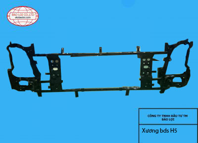 Xương badosoc H5